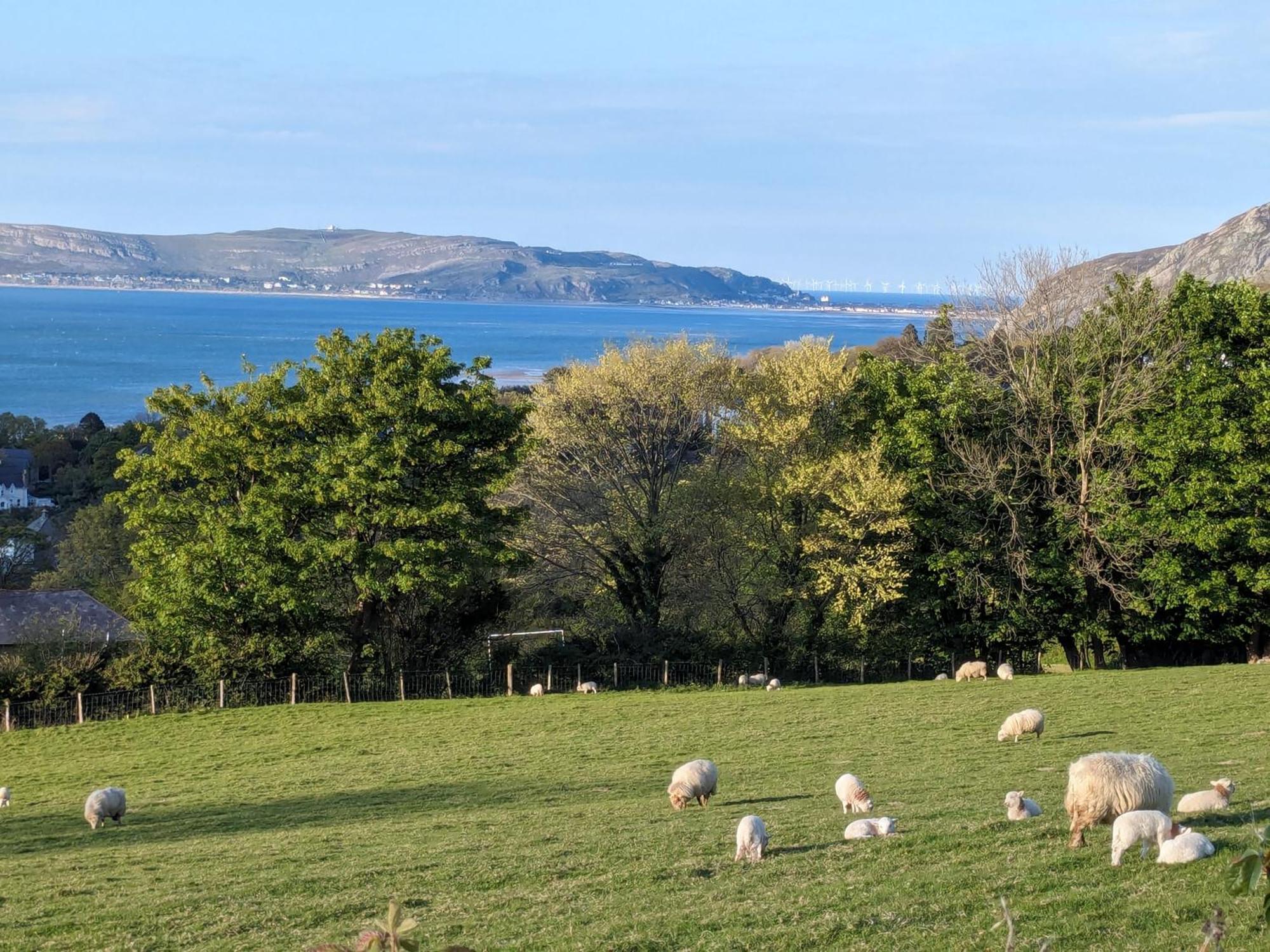 Fantastic Sea Views At Century'S Old Alma'S Cottage - Sleeps Up To 8 Guests Penmaenmawr Zewnętrze zdjęcie